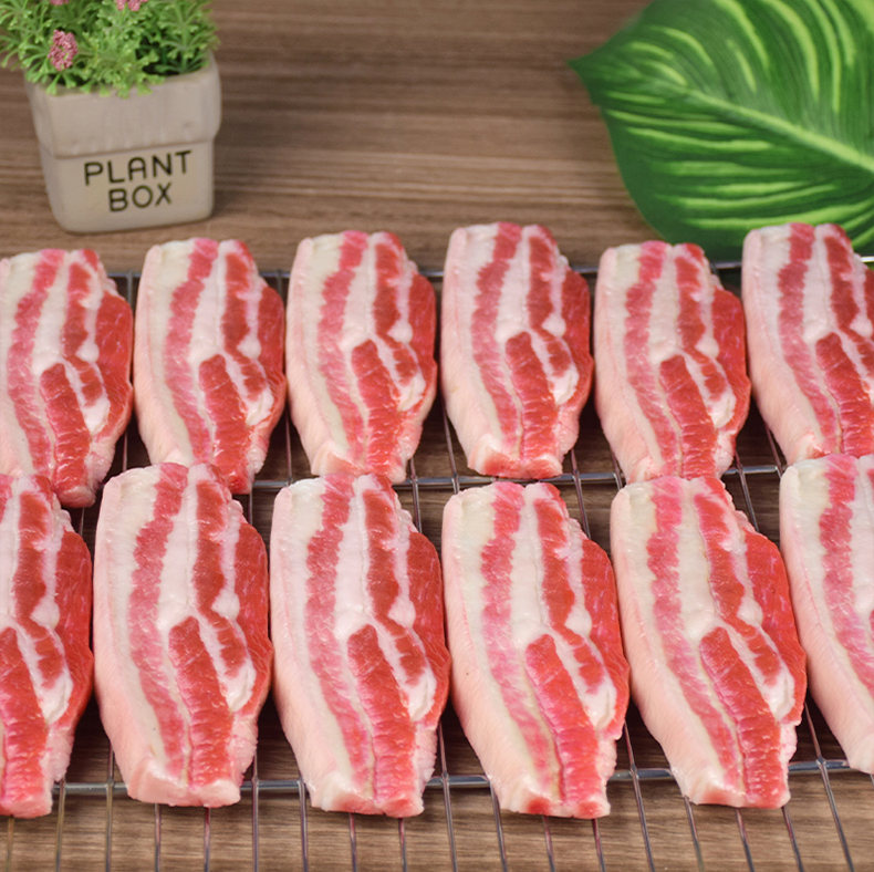 Photography Of Food - Realistic Fake Sliced Meat - Single