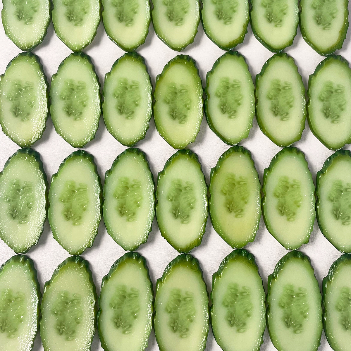 3/5/20PCS Fake Cucumber Slices - Photography Of Food ulasan dan harga