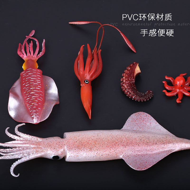 Simulation Squid Model Kitchen - Photography Of Food ulasan dan harga