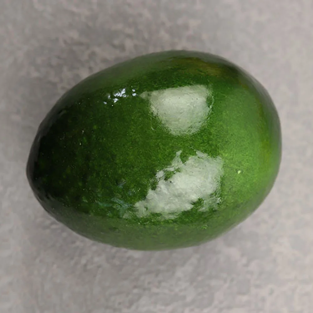 6pcs Artificial Avocado Model  - Photography Of Food ulasan dan harga